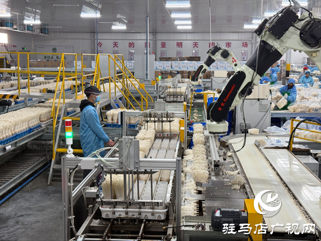 華綠生物科技:智能生產(chǎn)引領(lǐng) 循環(huán)模式增效