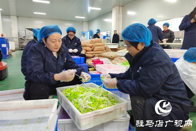 國家級盛會(huì)搭臺賦能 杞樂生物科技借勢騰飛
