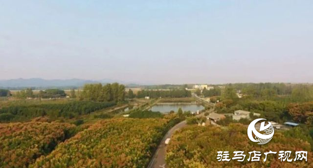 驛城區(qū)老河鄉(xiāng)被評為“美麗中國·深呼吸小鎮(zhèn)”