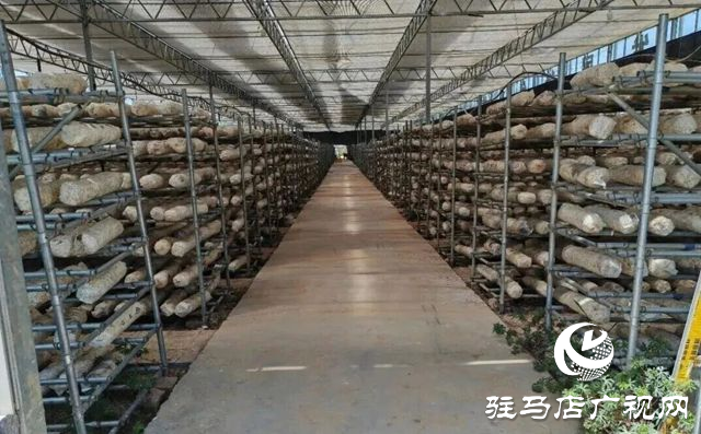 驛城區(qū)老河鄉(xiāng)被評為“美麗中國·深呼吸小鎮(zhèn)”