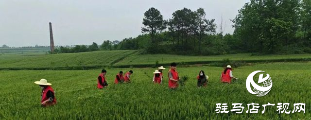 驛城區(qū)老河鄉(xiāng)被評為“美麗中國·深呼吸小鎮(zhèn)”