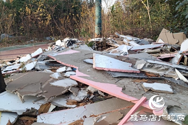 綠地“失管”變“失顏” 驛城大道沿線綠化帶衛(wèi)生堪憂