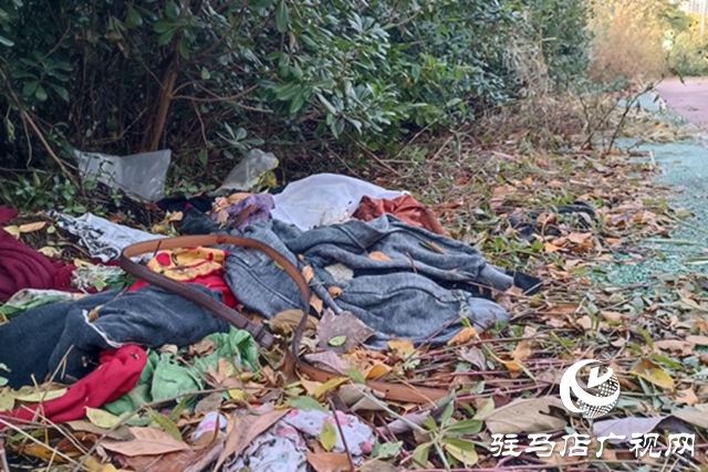 綠地“失管”變“失顏” 驛城大道沿線綠化帶衛(wèi)生堪憂