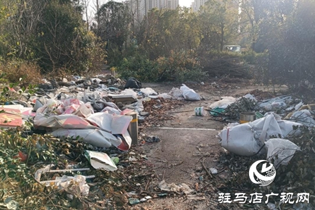 綠地“失管”變“失顏” 驛城大道沿線綠化帶衛(wèi)生堪憂