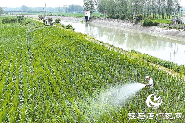 駐馬店：筑牢水安全屏障 繪就生態(tài)新畫(huà)卷