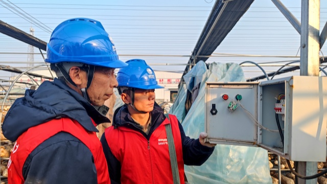 國(guó)網(wǎng)泌陽(yáng)縣供電公司：黨建引領(lǐng)優(yōu)服務(wù) 電力護(hù)航興產(chǎn)業(yè)