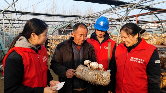 國(guó)網(wǎng)泌陽(yáng)縣供電公司：黨建引領(lǐng)優(yōu)服務(wù) 電力護(hù)航興產(chǎn)業(yè)