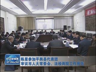 陳星參加平輿代表團(tuán)審議市人大常委會、法檢兩院工作報